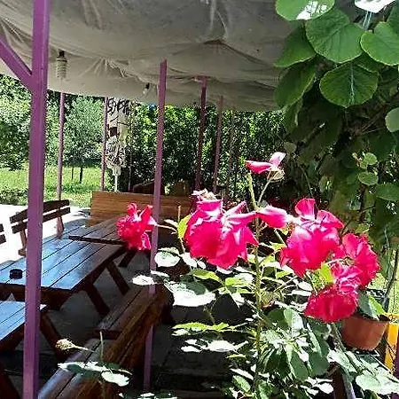 Pansion Modana Oda ve Kahvaltı 4*